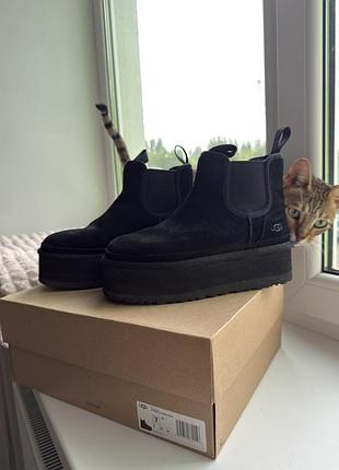 Ugg platform chelsea оригінал