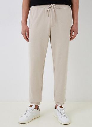 Чоловічі спортивні штани, джогери tom tailor