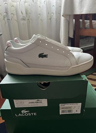 Кросівки lacoste, розмір 39,5