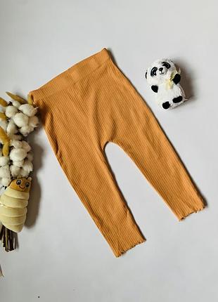 🩵 лосини в рубчик george дівчинці 1–1,5 року