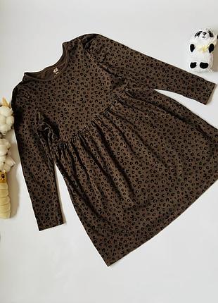 I🐆 плаття лео h&m дівчинці 4–6 років