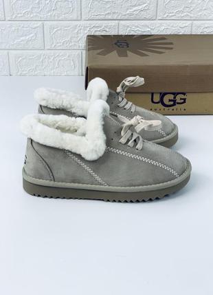 Тапочки ugg зимние ботинки угг угги угі уггі жіночі ботинки зима зимние