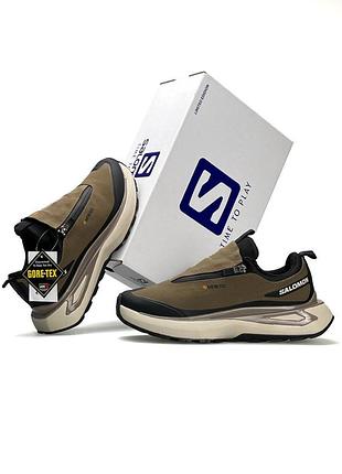 Мужские кроссовки salomon odyssey elmt advanced brown