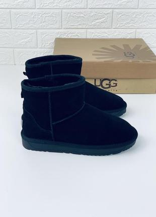 Угги мужские ugg сапоги ботинки замш замшевіе кожаные мини кожа угі уггі чоловічі