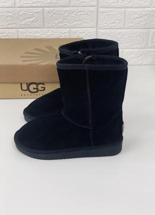 Угги женские ботинки сапоги ugg натуралка угги женские на молнии4 фото