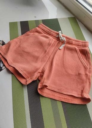 Шорты на девочку