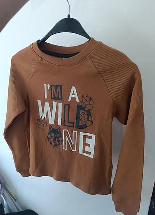 Реглан для мальчика