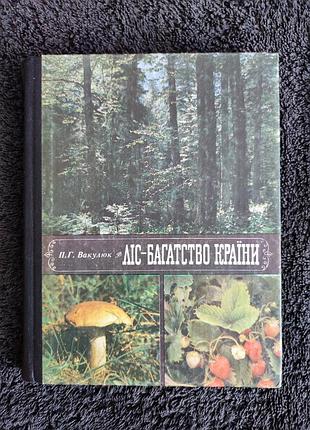 Вакулюк п.г. лес - богатство страны.