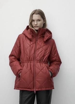 Куртка демі бургунді бордова від massimo dutti