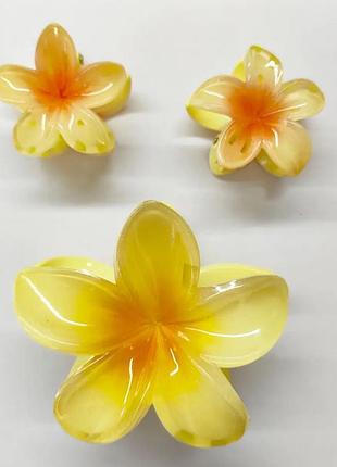 Заколки - крабики для волосся