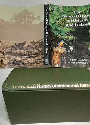 Hather angel the natural history of britain and ireland, 1981 г. супер обложка - 256 стр.