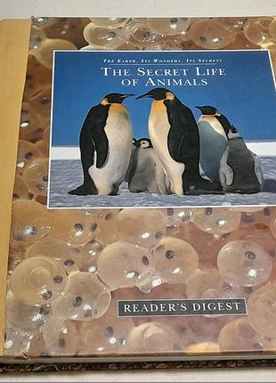 The secret life of animals , 1997 р. michael bright , reader`s digest- таємне життя тварин , 160 стр