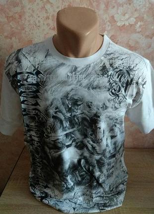 Футболка мужская fibak