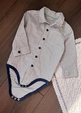 Боді сорочка рубашка довги рукав синя біла в полосочку смугаста для хлопчика 3-6 міс 68 см