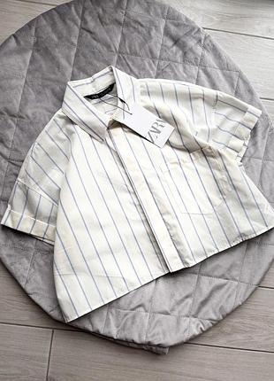 Жіноча кроп-сорочка в смужку zara