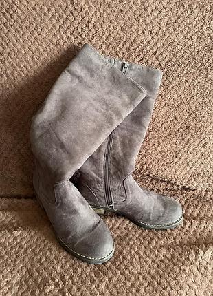 Сапоги демізезонні