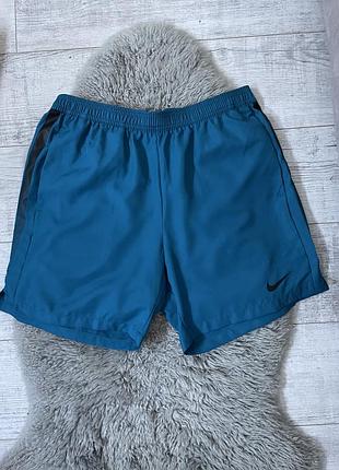 Чоловічі шорти nike dri-fit