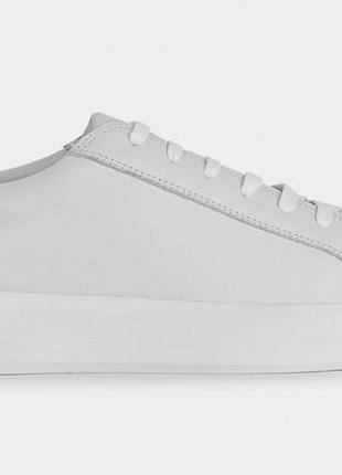 Чоловічі, шкіряні кеди *geox* xm3314