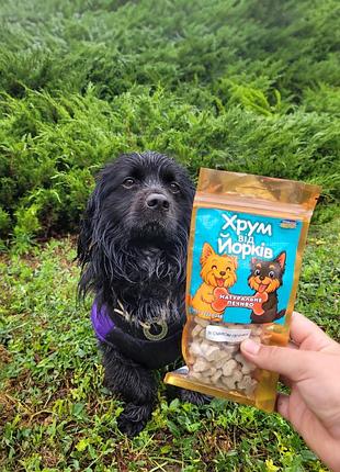 Лакомство печенье для собак и котов