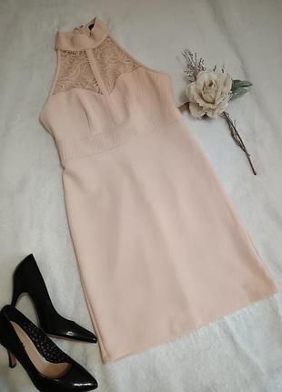 Стильна персикова сукня з мереживом new look