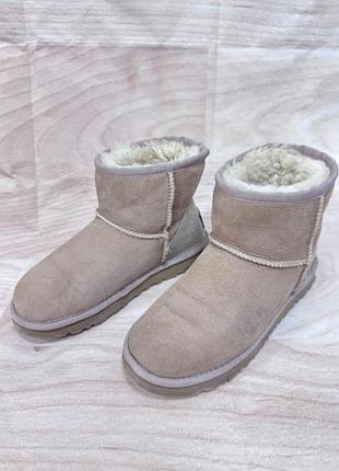 Зимние ugg валенкие сапоги ботинки женские угги угги