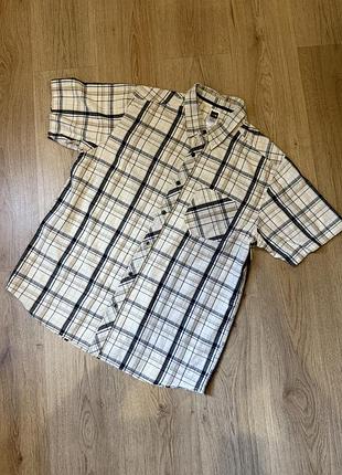 Шведка the north face