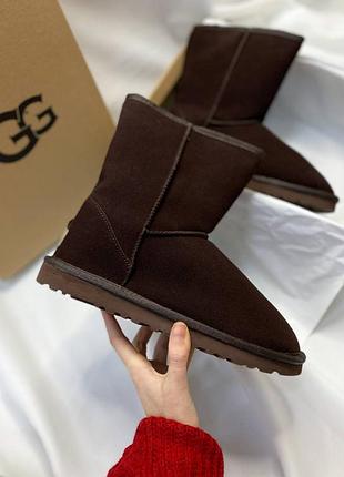 Угги ugg classic short brown mocha