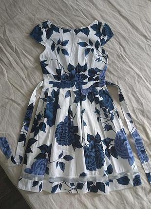 Бавовняна сукня біла в сині квіти, s-xs