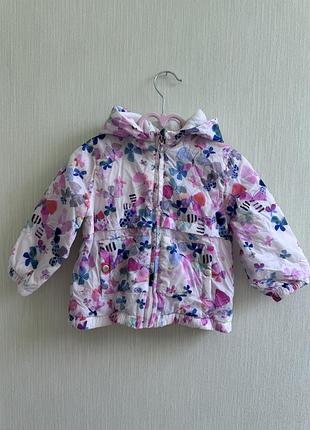 Куртка,вітрівка