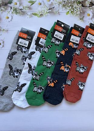 Шкарпетки lvivski високі з принтом єноти 25-27(39-43), 27-29(43-46)
