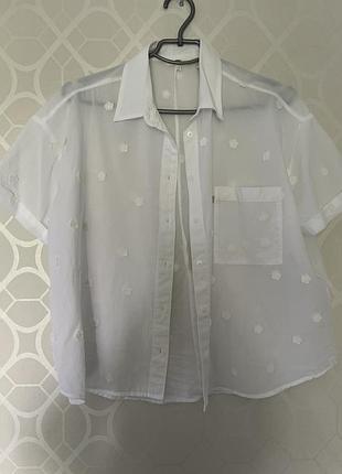 Цікава сорочка levi’s