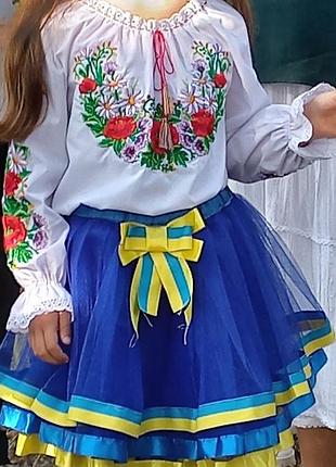 Вишиванка та спідничка в патріотичному стилі