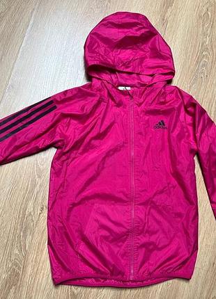 Вітрівка adidas
