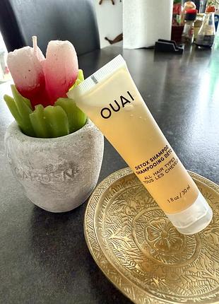 Шампунь для волосся ouai detox shampoo
