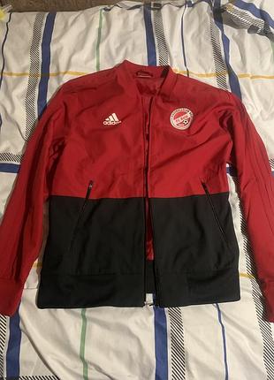 Вітровка adidas