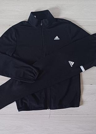 Спортивные  штаны и кофта  adidas