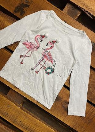 Детская кофта (реглан) с принтом f&amp;f (эф энд эф 5-6 лет 110-116 см идеал оригинал оригинал разноцветный)