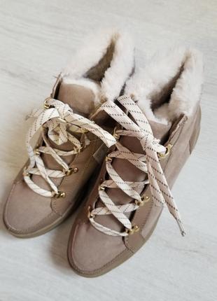 Стильні демісезонні черевики від бренду h&m