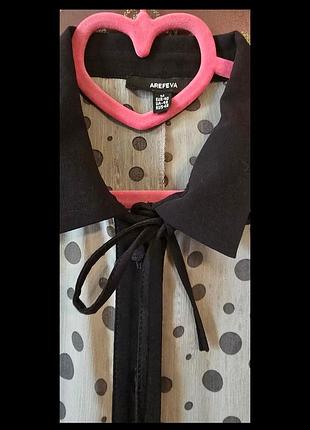 Блуза стильна та елегантність