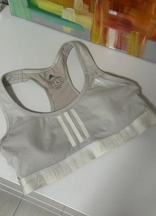 Сірий топ adidas