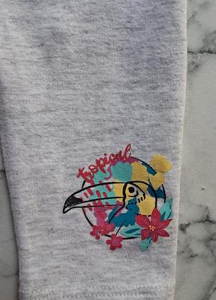 Лосини, , штани 2