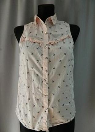 Блуза жіноча персик odi