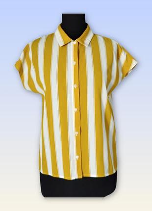 Блуза в полоску