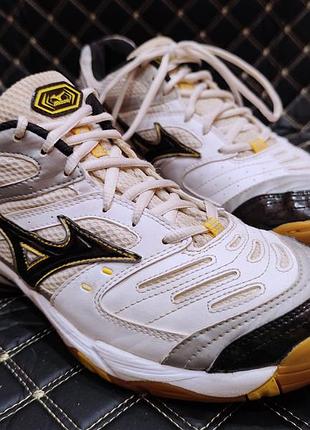 Кроси Basket mizuno wave rally 3 - 42,5 (28см)