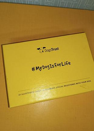 Карточки для записи памятных моментов из жизни собаки, dogs trust