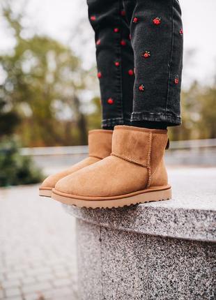 Уги ugg w classic mini chestnut угги6 фото