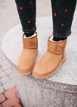 Уги ugg w classic mini chestnut угги7 фото