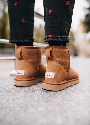 Уги ugg w classic mini chestnut угги8 фото