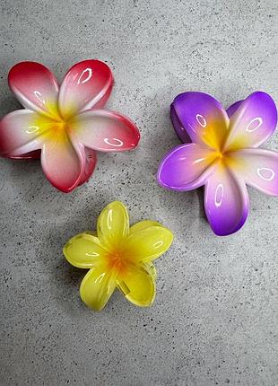 Заколки-краби у формі гавайської квітки🌺