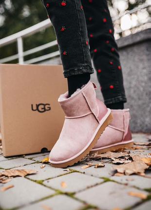 Угі ugg w classic mini «pink» уггі